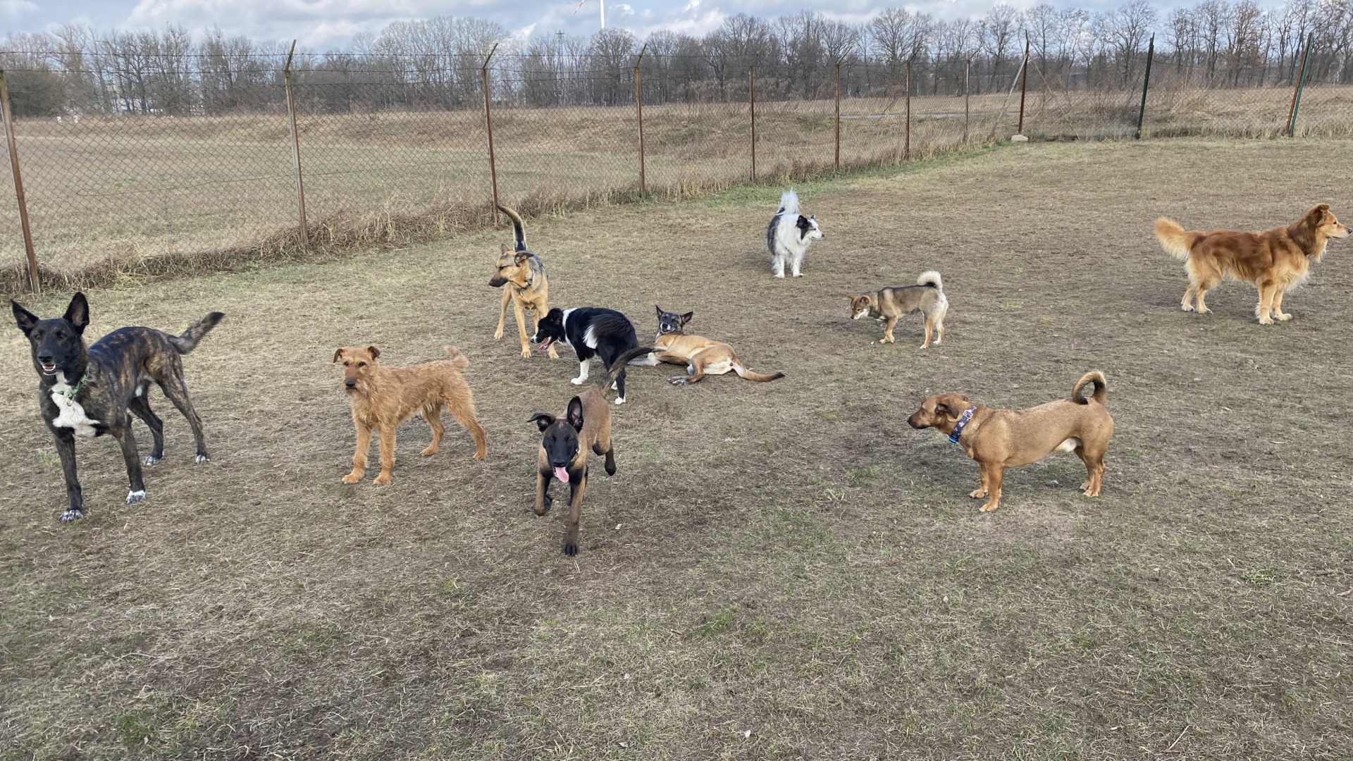 2025-03-12 10.16.41